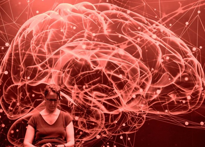 Neurodivergente : Qué Es, Síntomas, Test y Tipos - Guía Definitiva