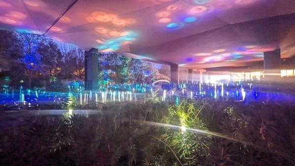 Expo Amazonia quai branly